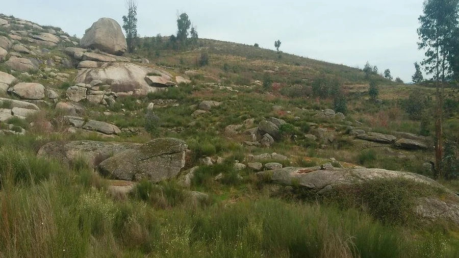 Terreno para Venda em Seixo da Beira