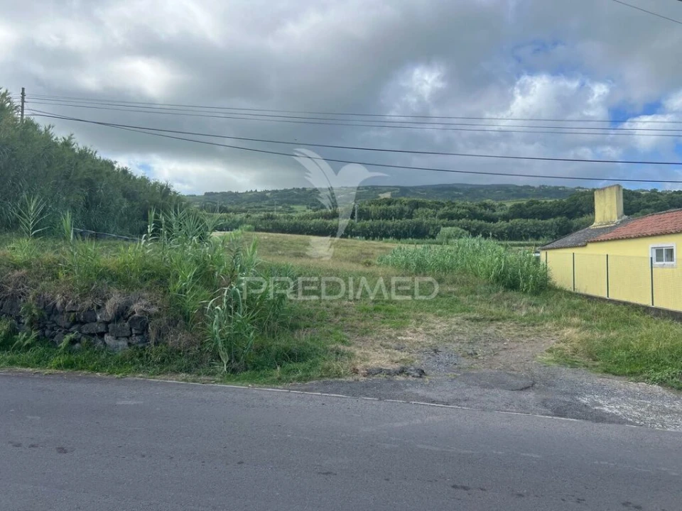 Terreno para Venda em Cedros Foto 3