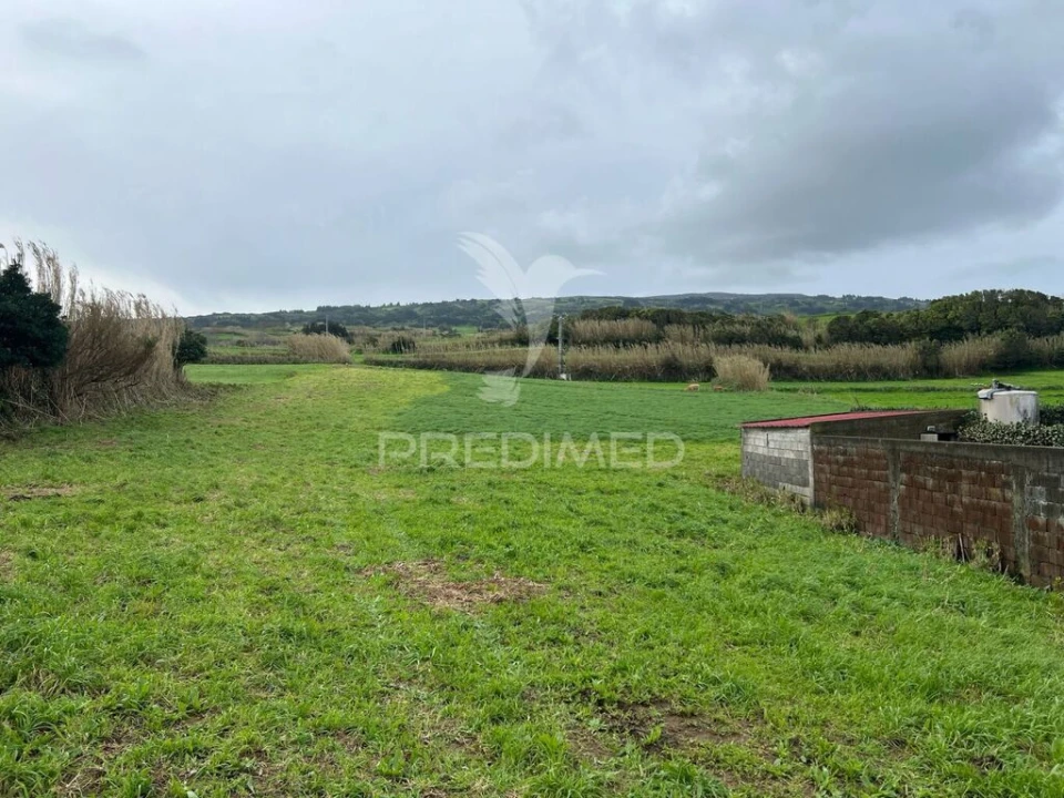 Terreno para Venda em Cedros Foto 2