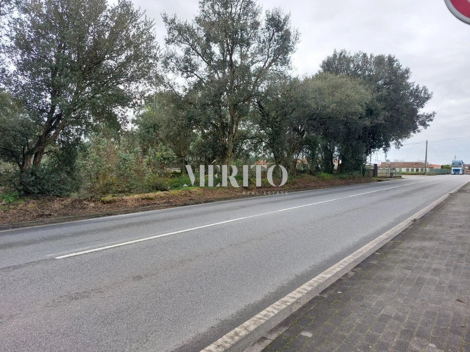 Terreno para Arrendamento em Vila Seca Foto 6