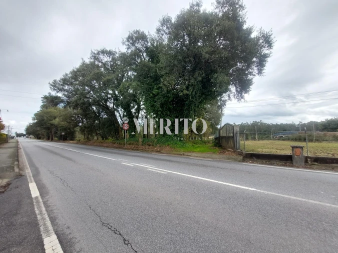 Terreno para Arrendamento em Vila Seca