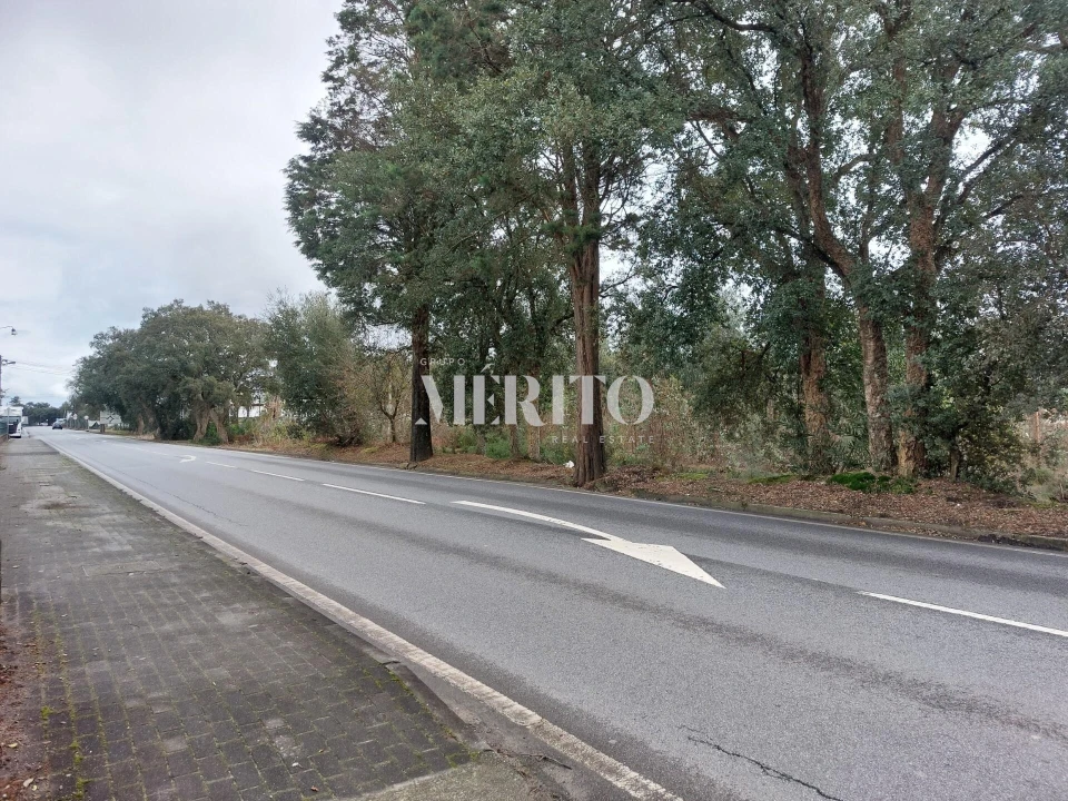Terreno para Arrendamento em Vila Seca Foto 5
