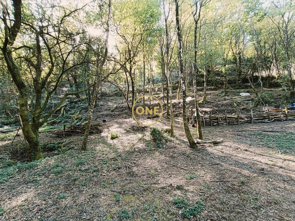 Terreno para Venda em Valdreu Foto 6