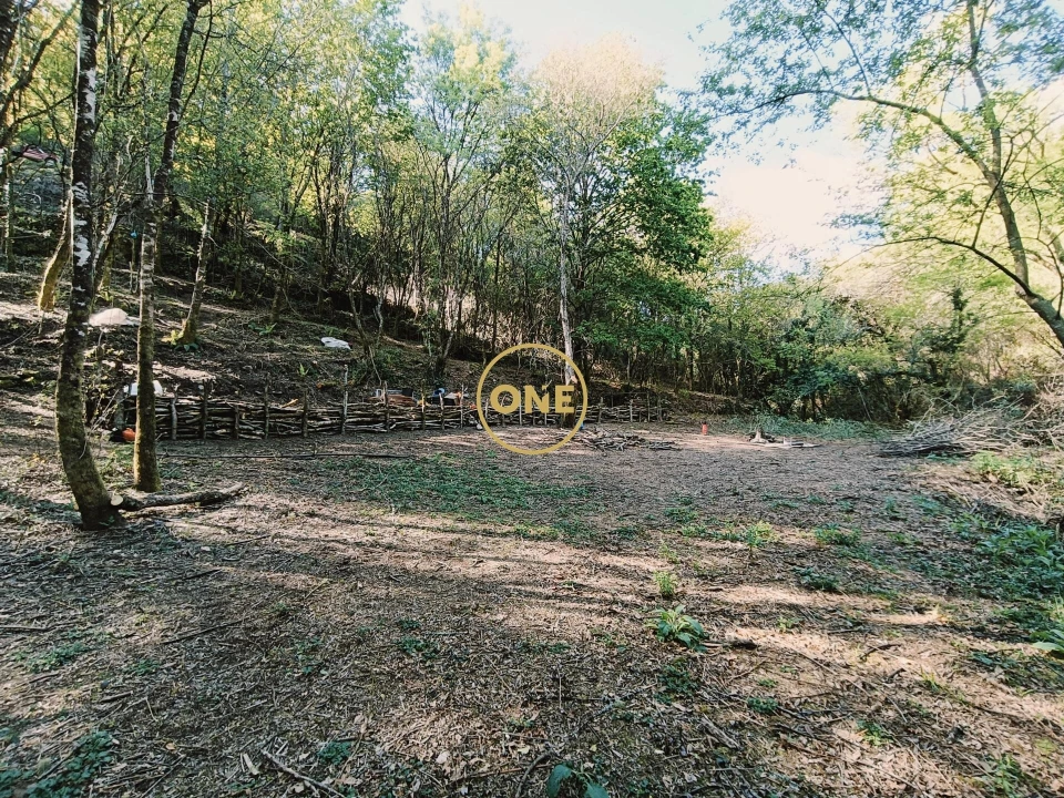 Terreno para Venda em Valdreu Foto 5