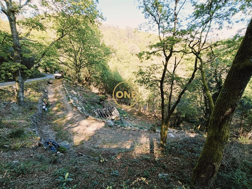 Terreno para Venda em Valdreu Foto 11