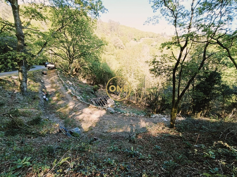 Terreno para Venda em Valdreu Foto 10