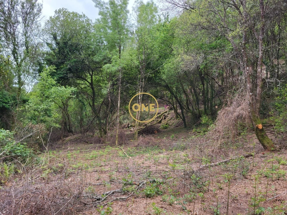 Terreno para Venda em Valdreu Foto 3