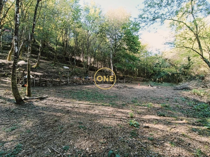 Terreno para Venda em Valdreu Foto 5