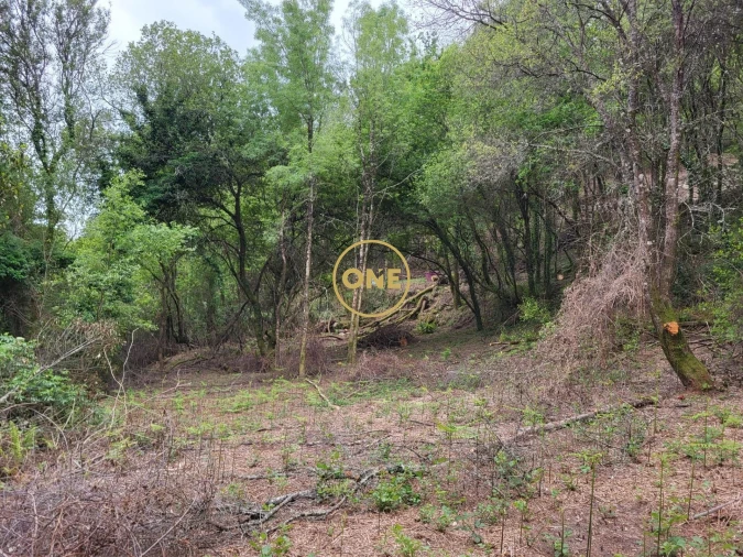 Terreno para Venda em Valdreu Foto 3