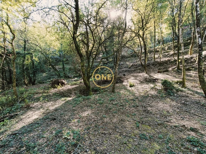 Terreno para Venda em Valdreu Foto 7