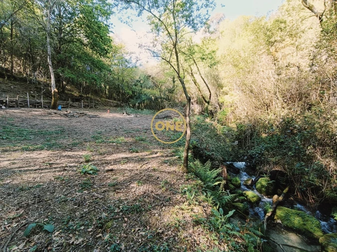 Terreno para Venda em Valdreu Foto 4