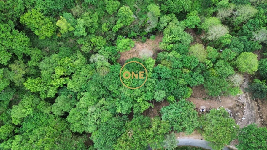 Terreno para Venda em Valdreu Foto 12