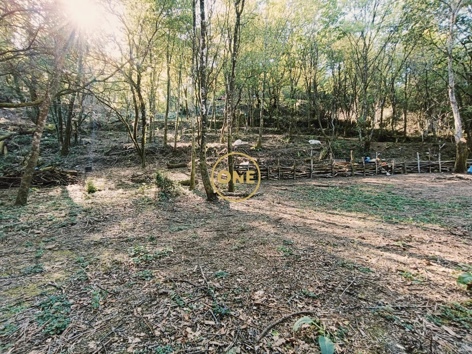 Terreno para Venda em Valdreu Foto 9