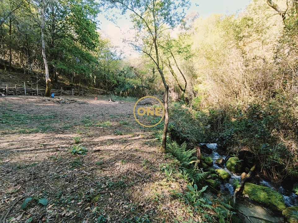 Terreno para Venda em Valdreu Foto 4