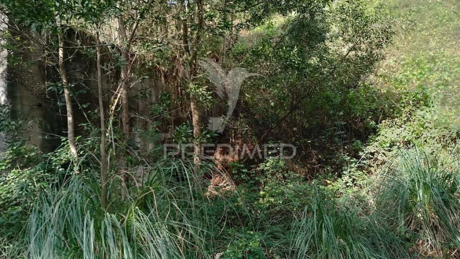 Terreno para Venda em Foz do Sousa e Covelo Foto 9