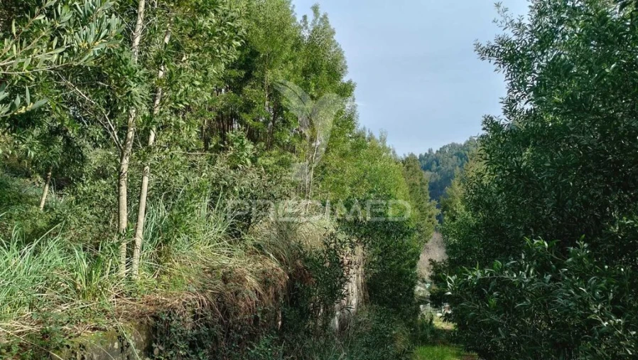 Terreno para Venda em Foz do Sousa e Covelo Foto 4