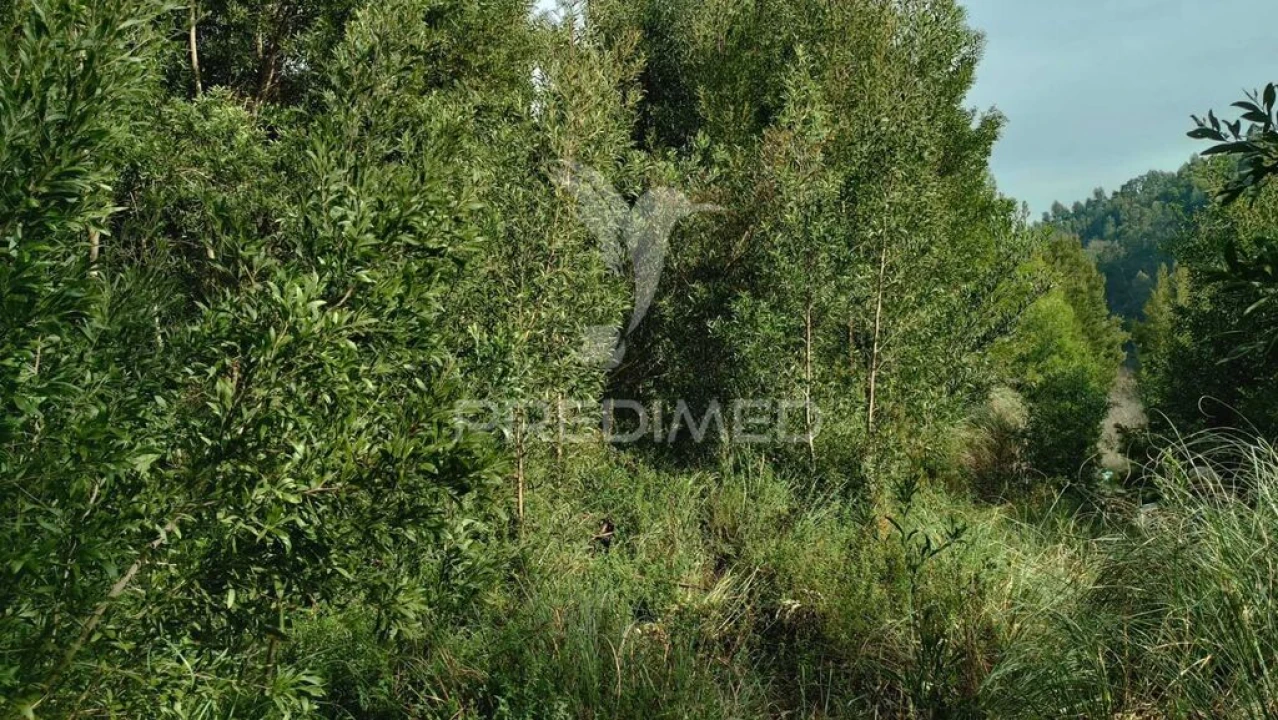 Terreno para Venda em Foz do Sousa e Covelo Foto 7