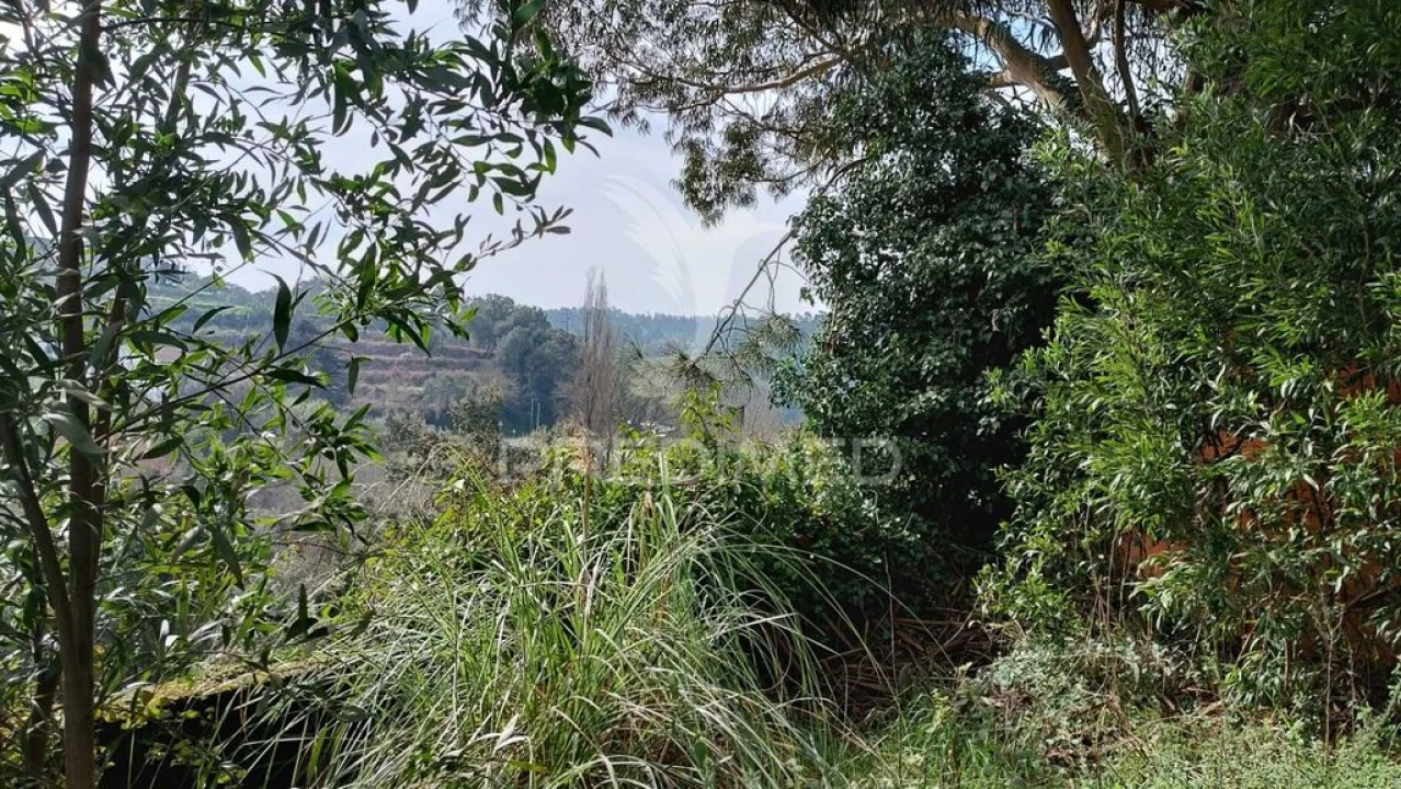 Terreno para Venda em Foz do Sousa e Covelo Foto 10