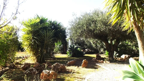 Moradia T3 para Venda em Tavira (Santa Maria e Santiago)