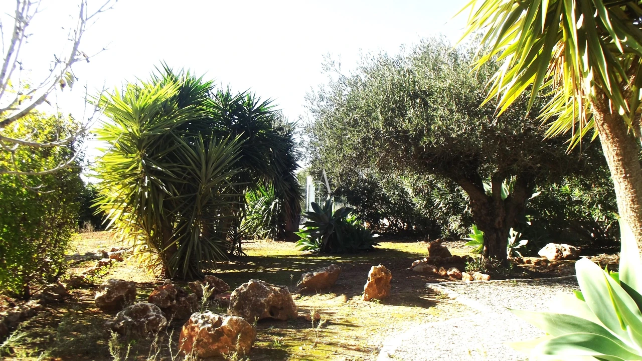 Moradia T3 para Venda em Tavira (Santa Maria e Santiago) Foto 12