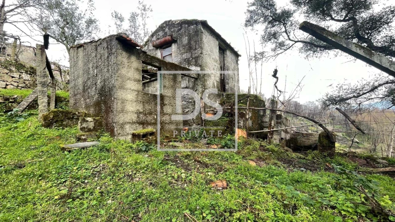 Terreno Agricola ou Rústico para Venda em Ancede e Ribadouro Foto 3