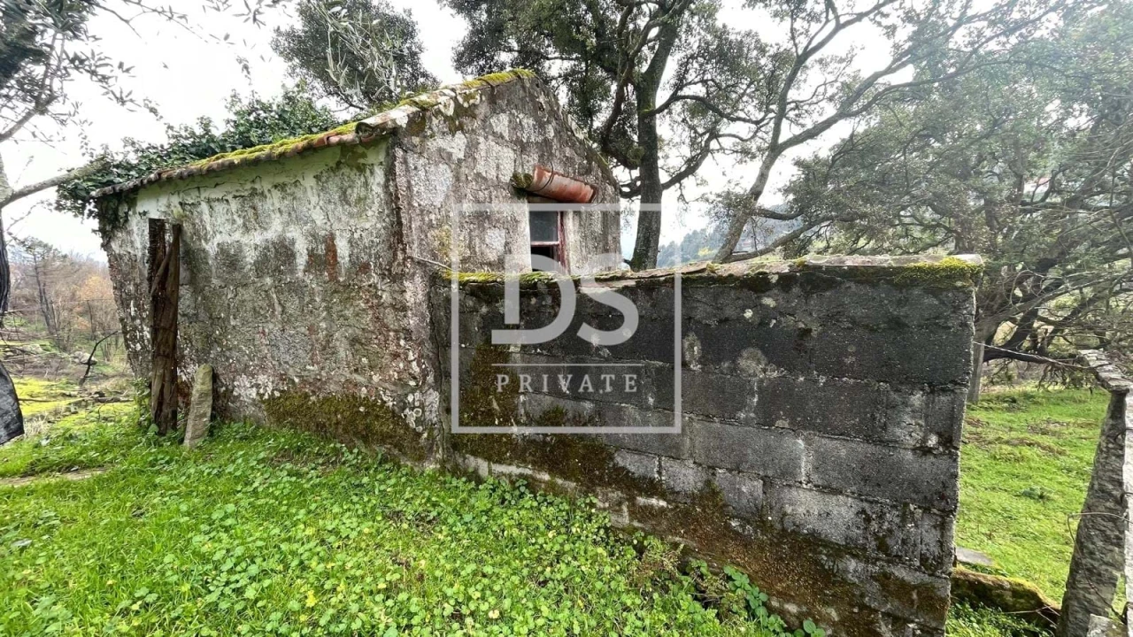 Terreno Agricola ou Rústico para Venda em Ancede e Ribadouro Foto 1