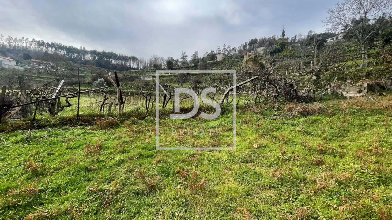 Terreno Agricola ou Rústico para Venda em Ancede e Ribadouro Foto 6