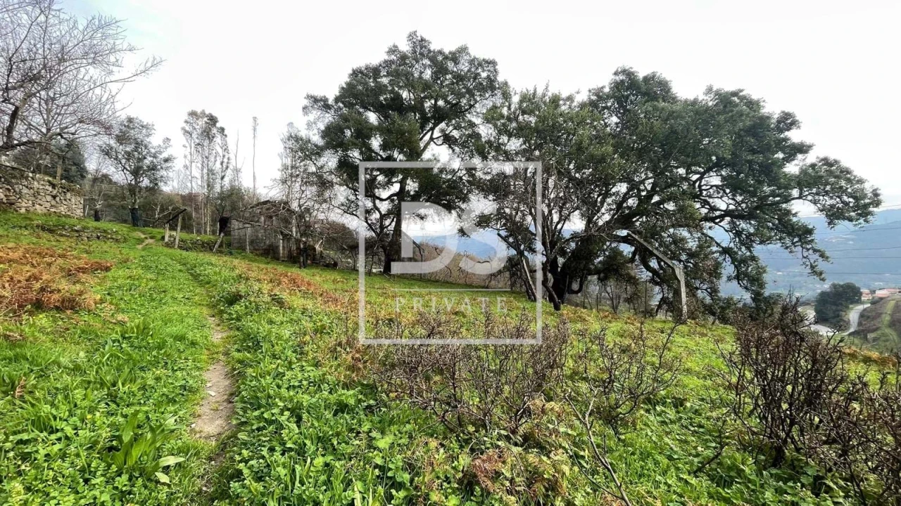 Terreno Agricola ou Rústico para Venda em Ancede e Ribadouro Foto 7