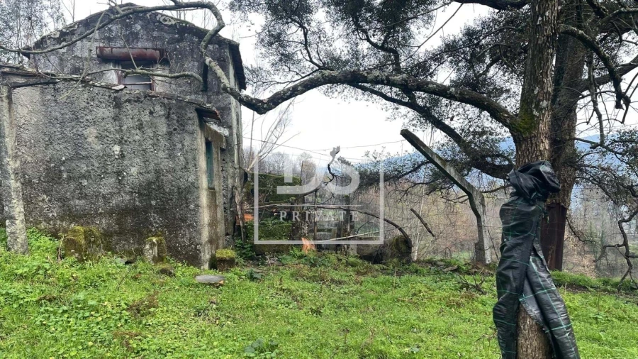 Terreno Agricola ou Rústico para Venda em Ancede e Ribadouro Foto 4
