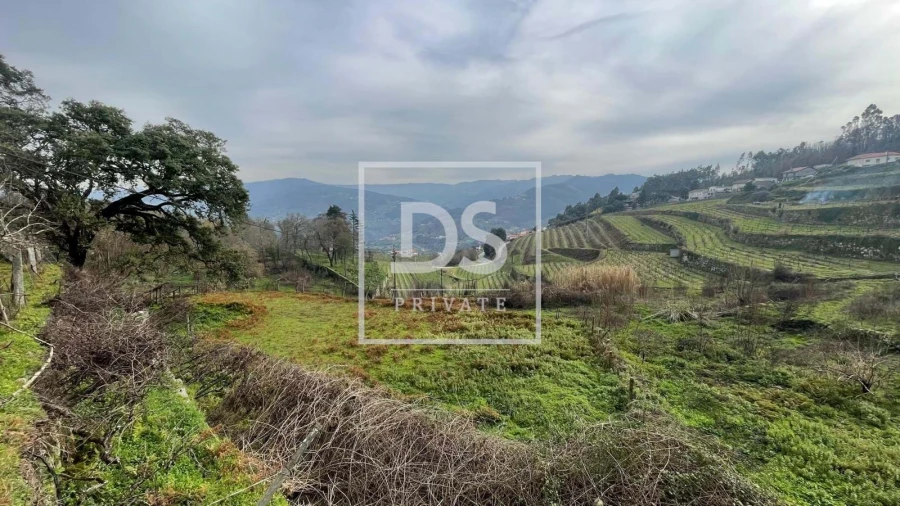Terreno Agricola ou Rústico para Venda em Ancede e Ribadouro Foto 3