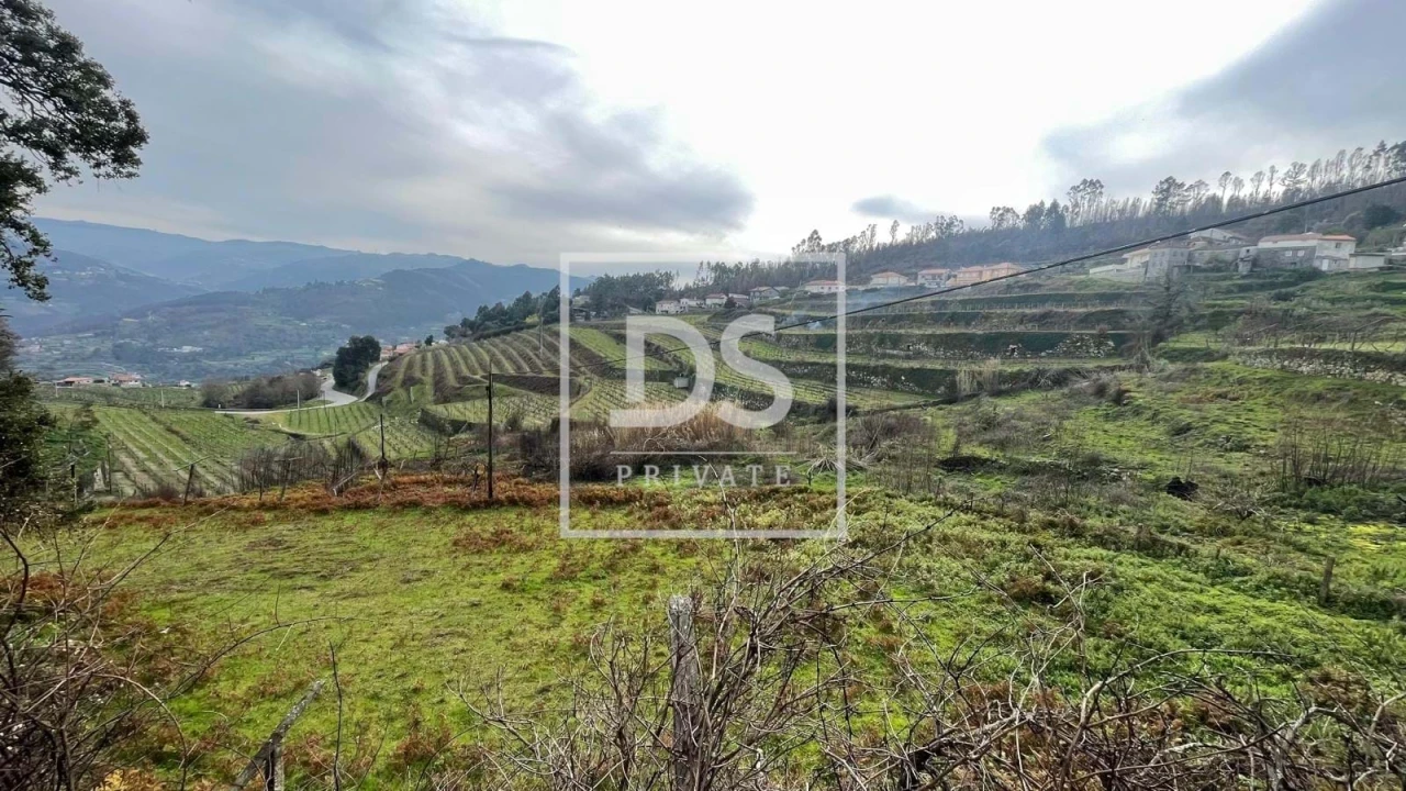 Terreno Agricola ou Rústico para Venda em Ancede e Ribadouro Foto 2