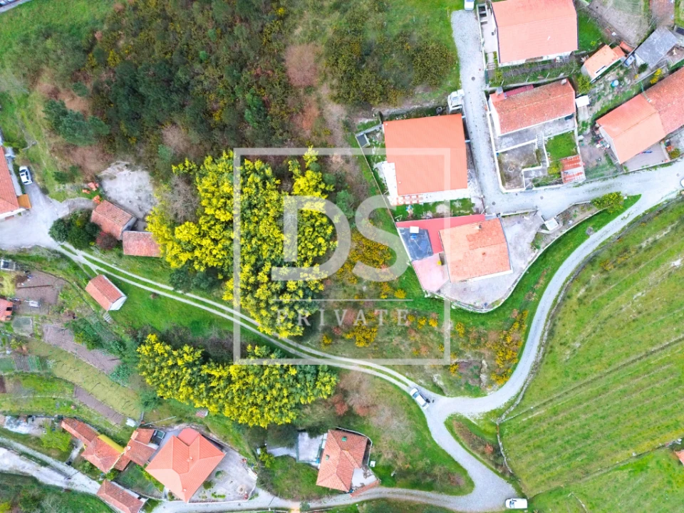 Terreno Agricola ou Rústico para Venda em Campelo e Ovil Foto 1
