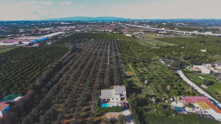 Quinta T6 para Venda em Lagoa e Carvoeiro Foto 14