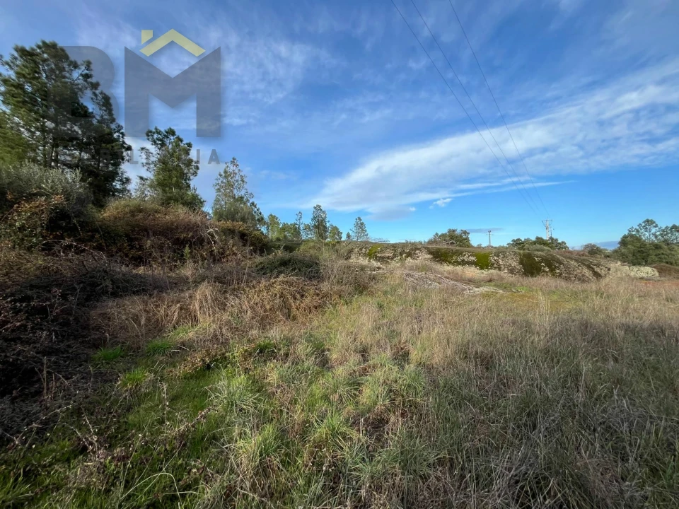 Terreno Agricola ou Rústico para Venda em Freixial e Juncal do Campo Foto 9