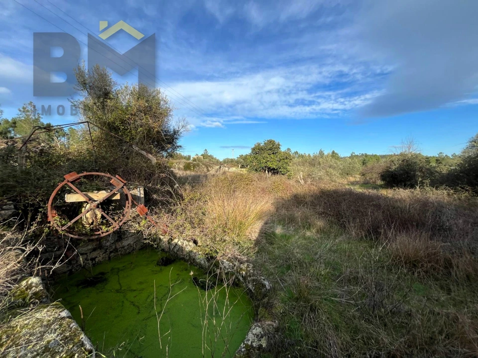 Terreno Agricola ou Rústico para Venda em Freixial e Juncal do Campo Foto 4