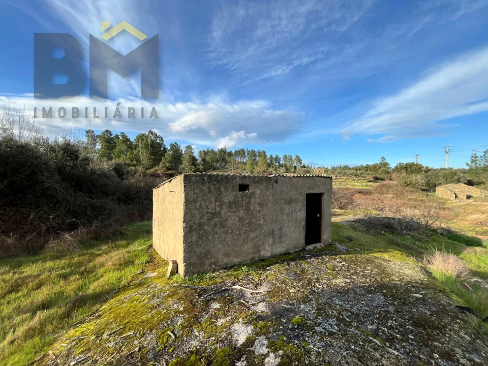 Terreno Agricola ou Rústico para Venda em Freixial e Juncal do Campo Foto 2