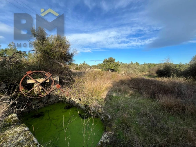 Terreno Agricola ou Rústico para Venda em Freixial e Juncal do Campo Foto 4