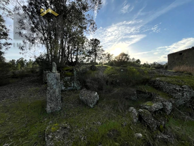Terreno Agricola ou Rústico para Venda em Freixial e Juncal do Campo Foto 5