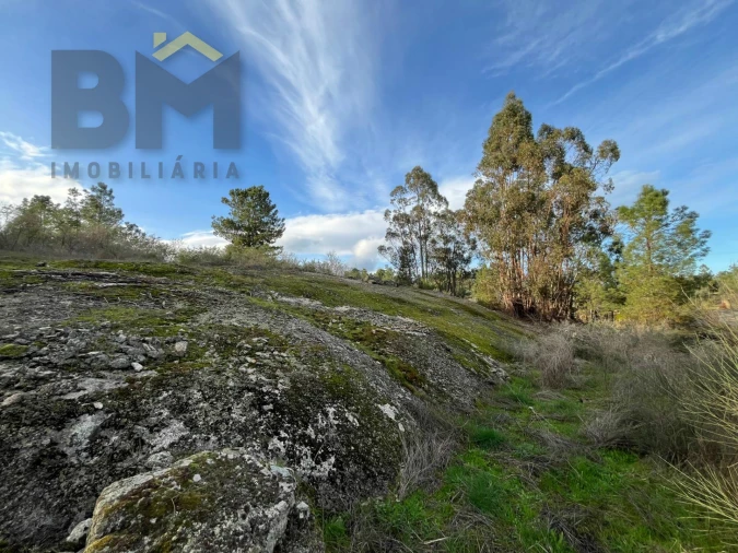 Terreno Agricola ou Rústico para Venda em Freixial e Juncal do Campo Foto 14