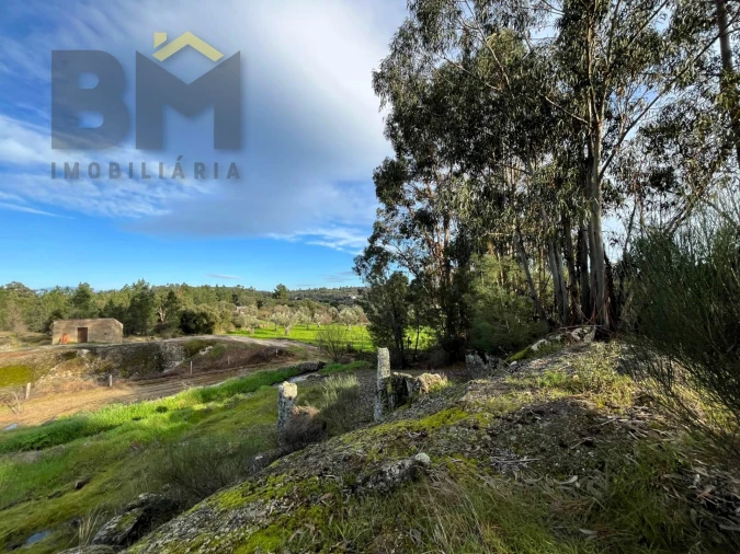 Terreno Agricola ou Rústico para Venda em Freixial e Juncal do Campo Foto 7