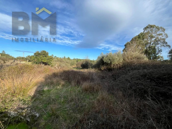 Terreno Agricola ou Rústico para Venda em Freixial e Juncal do Campo Foto 11