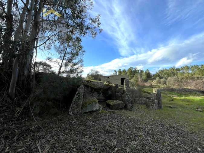Terreno Agricola ou Rústico para Venda em Freixial e Juncal do Campo Foto 6