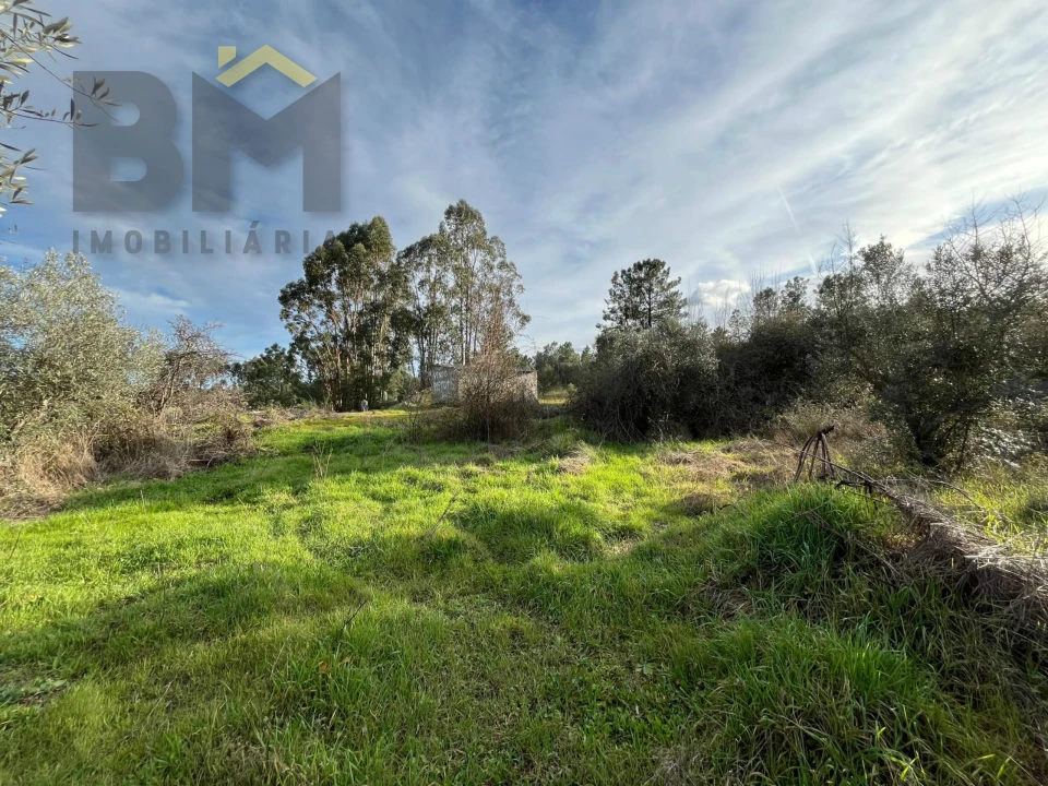 Terreno Agricola ou Rústico para Venda em Freixial e Juncal do Campo Foto 12