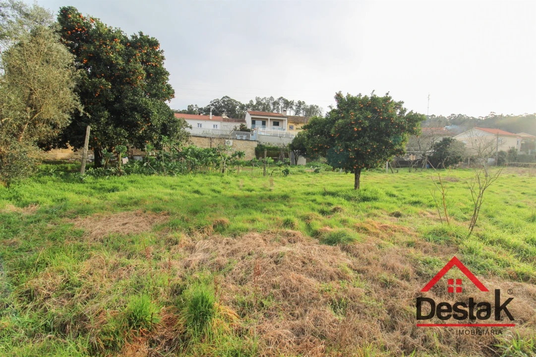 Terreno para Venda em Fataunços e Figueiredo das Donas Foto 8