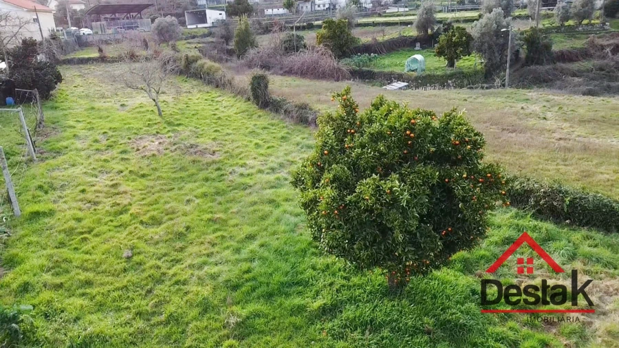 Terreno para Venda em Fataunços e Figueiredo das Donas Foto 6