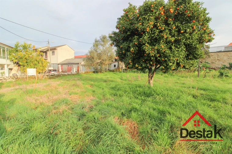 Terreno para Venda em Fataunços e Figueiredo das Donas Foto 11