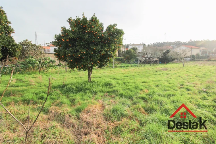 Terreno para Venda em Fataunços e Figueiredo das Donas Foto 9