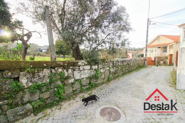 Terreno para Venda em Fataunços e Figueiredo das Donas Foto 12