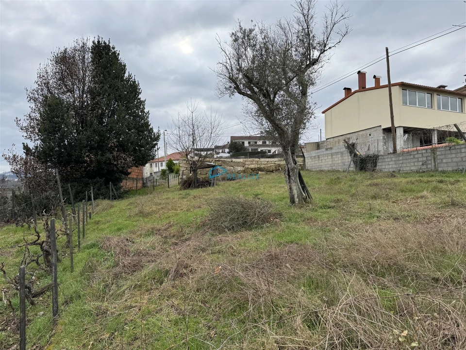 Terreno Agricola ou Rústico para Venda em Vila Marim Foto 11