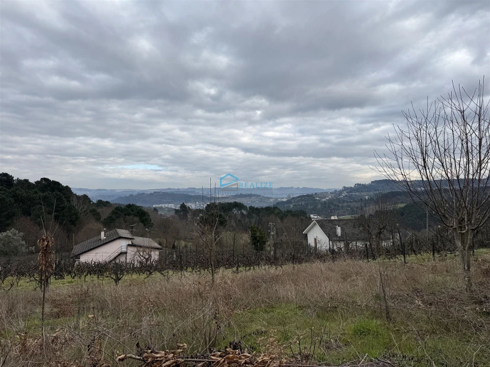 Terreno Agricola ou Rústico para Venda em Vila Marim Foto 1